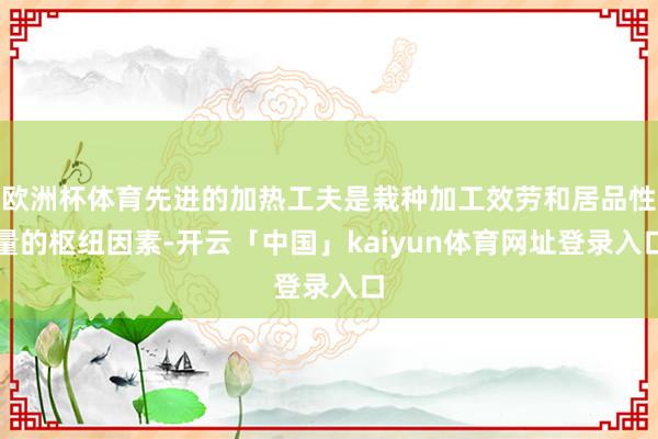 欧洲杯体育先进的加热工夫是栽种加工效劳和居品性量的枢纽因素-开云「中国」kaiyun体育网址登录入口